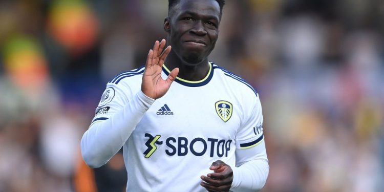 Wilfried Gnonto proche de la Premier League ?