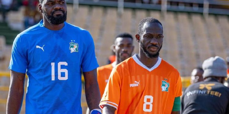 Les Elephants locaux