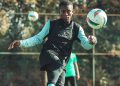 Max-Alain Gradel