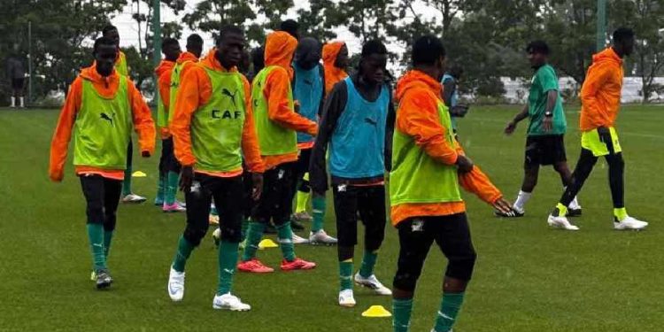Les éléphants U16