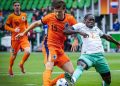 Les éléphants U23