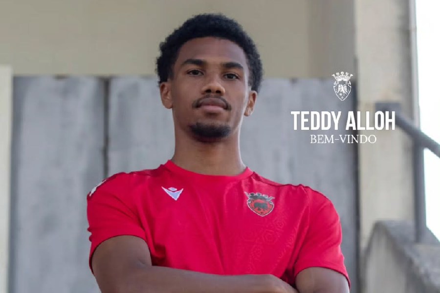 Teddy Alloh