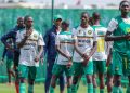 Les Lionceaux U17