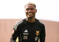 Yannick Adjoumani