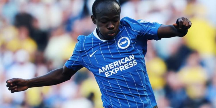 Malick Yalcouyé. Site officiel de Brighton